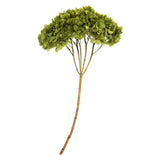 Vickerman Natural Botanicals 15" Hydrangea with Multiple Branch Segments, Preserved, Basil