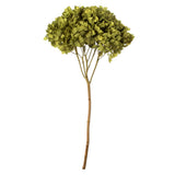 Vickerman Natural Botanicals 15" Hydrangea with Multiple Branch Segments, Preserved, Antique Moss