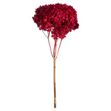 Vickerman Natural Botanicals 15" Hydrangea with Multiple Branch Segments, Preserved, Red