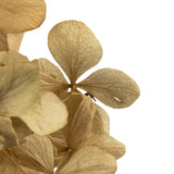 Vickerman 10 x 3 x 21" Tray of Hydrangea Pieces, Preserved