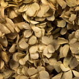 Vickerman 10 x 3 x 21" Tray of Hydrangea Pieces, Preserved