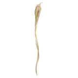 Vickerman 36-38" Sea Kelp, Dried, 36-38"