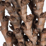 Vickerman 32-36" Ladder Branches Natural