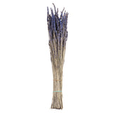 Vickerman 12-18" Lavender Bundle, Preserved, 12-18"