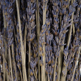 Vickerman 12-18" Lavender Bundle, Preserved