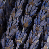 Vickerman 12-18" Lavender Bundle, Preserved