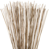 Vickerman Marsh Reed Bundle