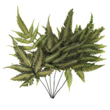 Vickerman 18-20" Basil Ombre Fern, Preserved, 18-20"