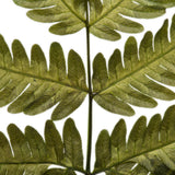 Vickerman 18-20" Basil Ombre Fern, Preserved