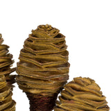 Vickerman Platy Cone attached to a Reed Stem, Dried