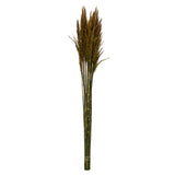 Vickerman 36"-40" Plume Reed Bundle, Preserved, Aspen Gold
