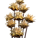 Vickerman 20" Plumosum Head attached to a Brown Stem, Dried