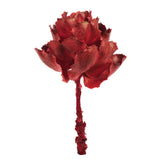 Vickerman 8" Queen Flower Stem, Dried, Red