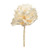 Vickerman 8" Queen Flower Stem, Dried, Bleached