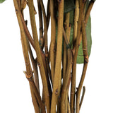 Vickerman 16-22" Natural Botanicals Salal Foliage Bunch