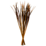 Vickerman 28-36" Splinter Grass Bundle, Dried, Aspen Gold