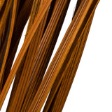 Vickerman 28-36" Splinter Grass Bundle, Dried