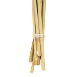 Vickerman 18-24" Natural Spider Knobs on Reed Stem
