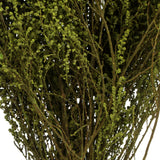 Vickerman 14"-18" Stoebe Bundle, Preserved