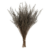 Vickerman 14"-18" Stoebe Bundle, Preserved, Silver White
