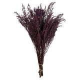 Vickerman 14"-18" Stoebe Bundle, Preserved, Violet