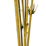 Vickerman 36-40" Star Bamboo Reed Stem, Dried