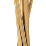 Vickerman 15" Tigela Pod attached to a Wood Stem, Dried