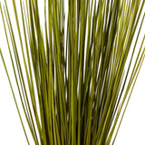 Vickerman 24-30" Basil Whip Grass Dried