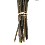 Vickerman 18-20" Green Weeping Willow Eucalyptus Bundle, Preserved
