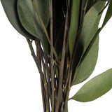 Vickerman 18-20" Green Weeping Willow Eucalyptus Bundle, Preserved