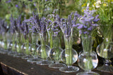 Boutique Ribbed Glass Bud Vases By Accent Decor