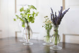 Boutique Ribbed Glass Bud Vases By Accent Decor