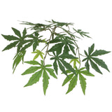 Vickerman Artificial Japanese Maple Extra Full Series