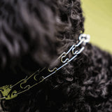Micro-Plus Prong Dog Training Collar, 10"
