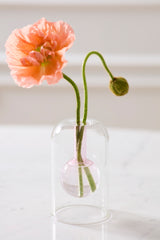 Abacus Glass Bud Vases By Accent Decor