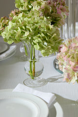 Queensland Footed Glass Bud Vases By Accent Decor