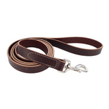 Circle T Latigo Leather Dog Leash, 6' - Small - 5/8" x 6'