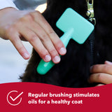 Li'l Pals Dog Slicker Brush with Coated Tips