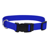 Adjustable Nylon Dog Collar with Plastic Buckle - Extra Small - 3/8" x 8"-12" / Blue