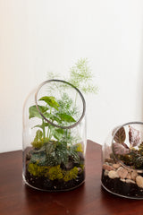 Warner Glass Terrariums By Accent Decor