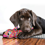 KONG Wubba Finz Pink Dog Toy in use