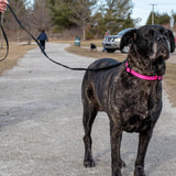 Train Right! Cotton Web Dog Training Leash, 5/8"