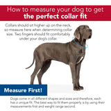 Circle T Latigo Leather Round Dog Collar sizing guide