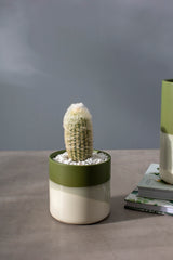 Lauris Matte Ceramic Pot By Accent Decor