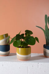 Colorway Ceramic Pots By Accent Decor