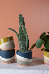 Colorway Ceramic Pots By Accent Decor