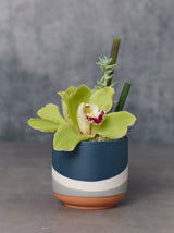 Colorway Ceramic Pots By Accent Decor