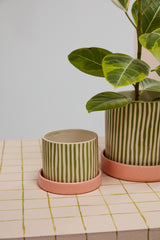 Melancia with Saucer Hand-Painted Speckled Pots By Accent Decor