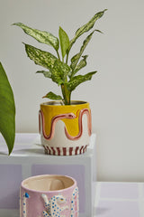 Wild Tails Hand-Painted Ceramic Pots By Accent Decor