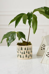 Happy Little Pot By Accent Decor